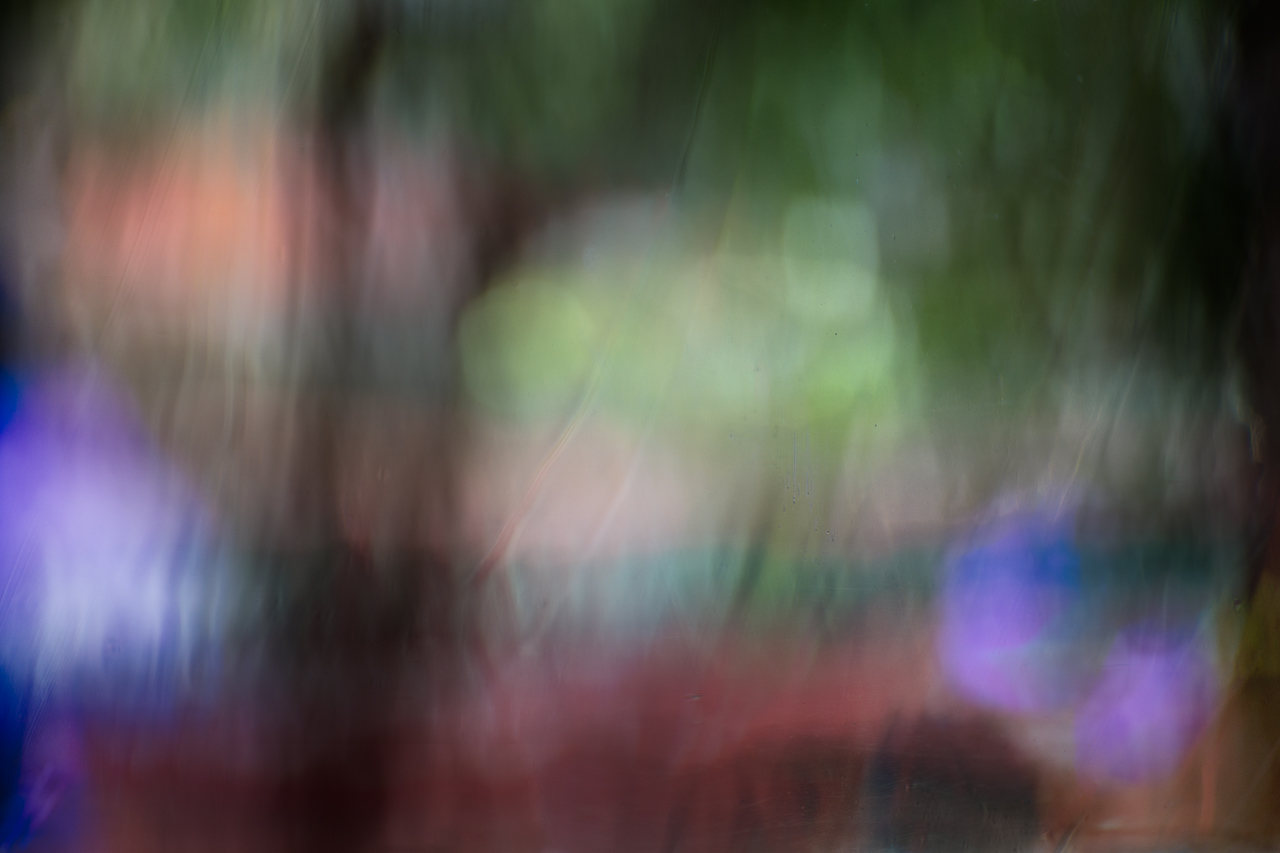 Stick to Your Own Vision