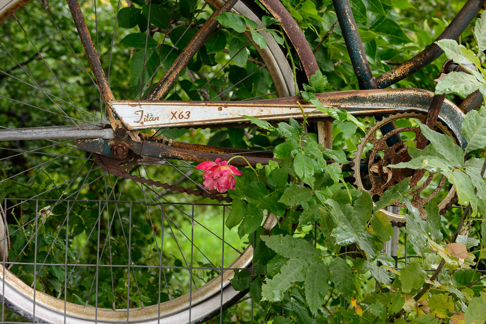 POV can convert a blah scene to something special