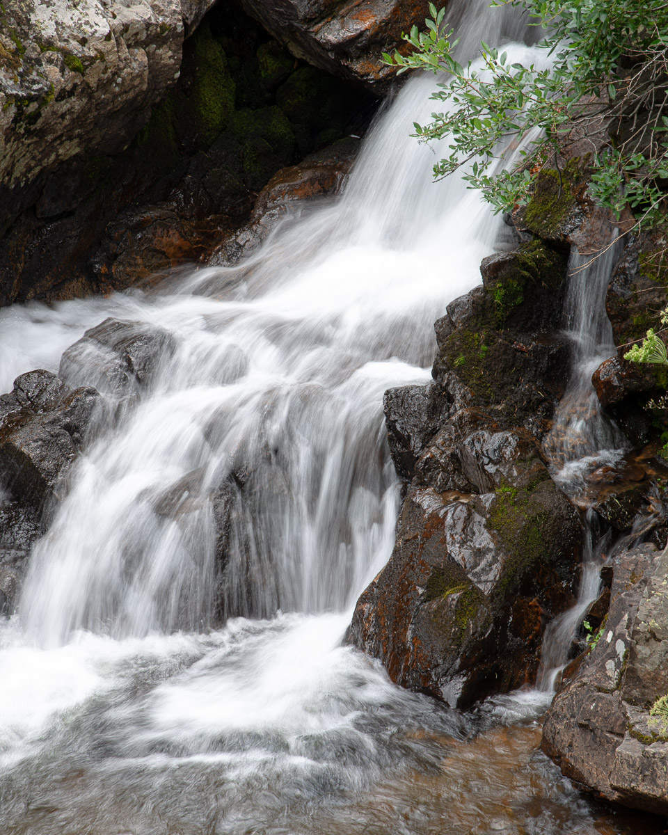 Why Hang It On Our Wall?