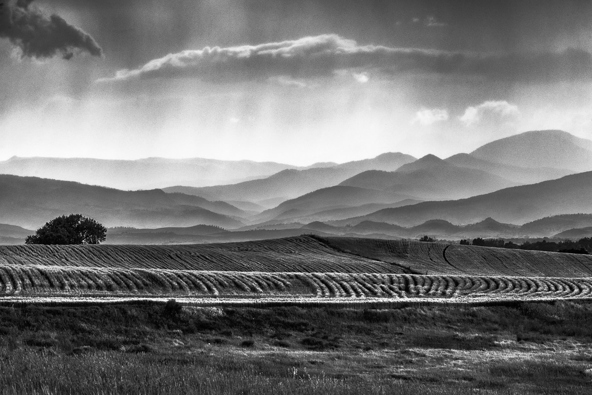 Is Black & White a “Thing”?