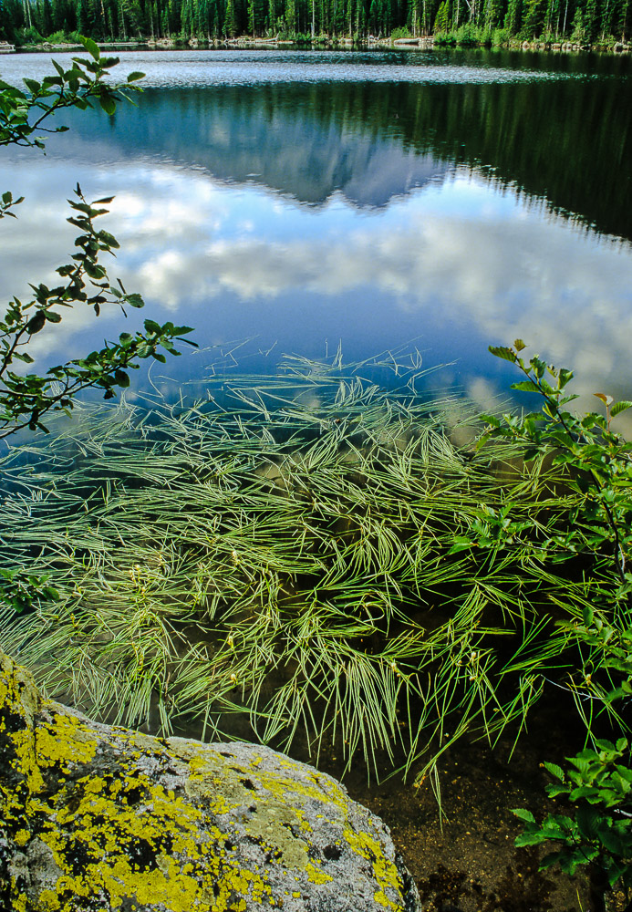 Ordinary/Extraordinary