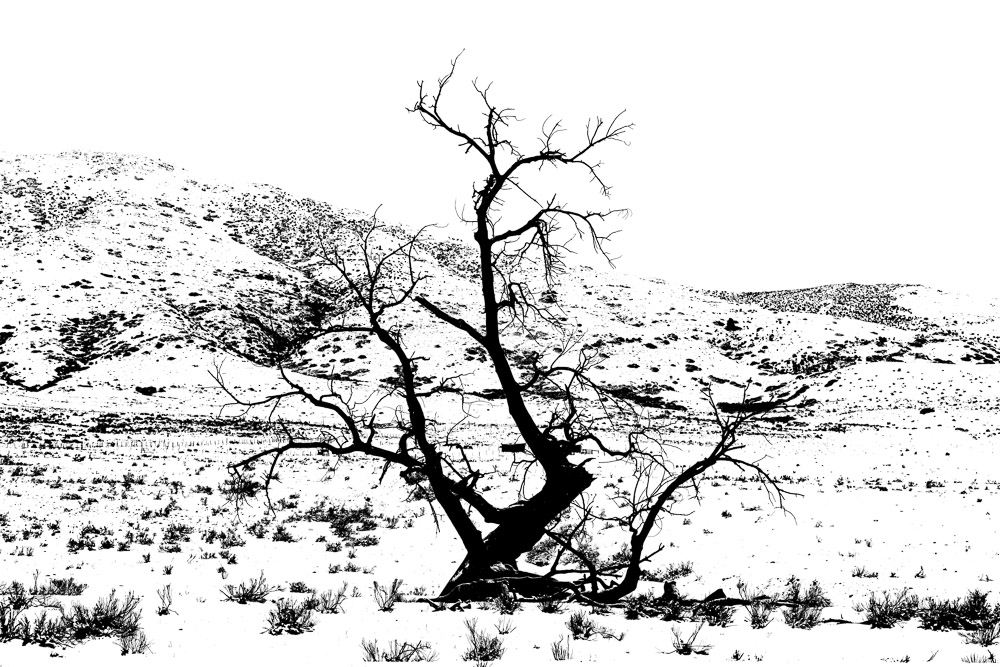 Very high contrast, pen and ink effect