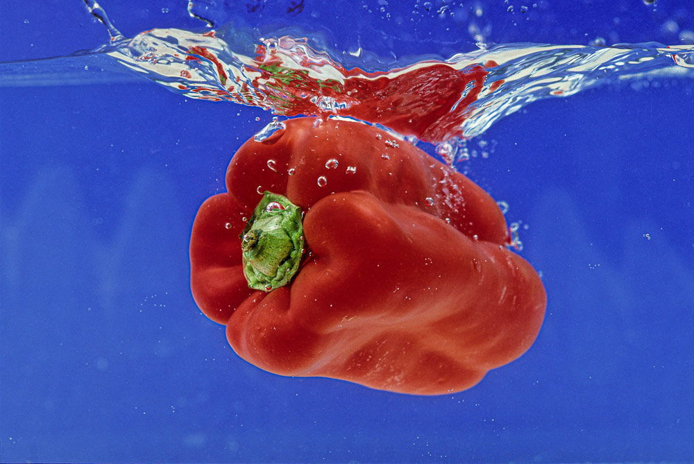 Red pepper in blue water