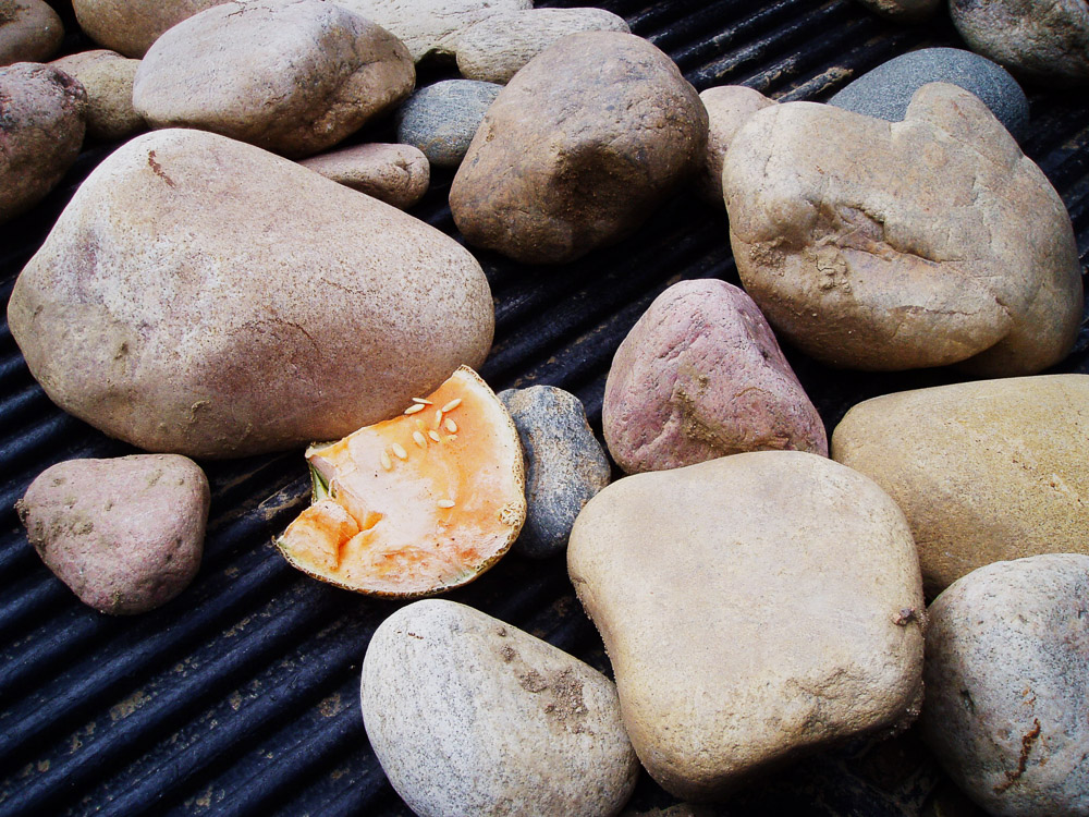 What if you break open a river rock?