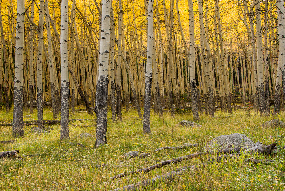 Something said I shoud keep it