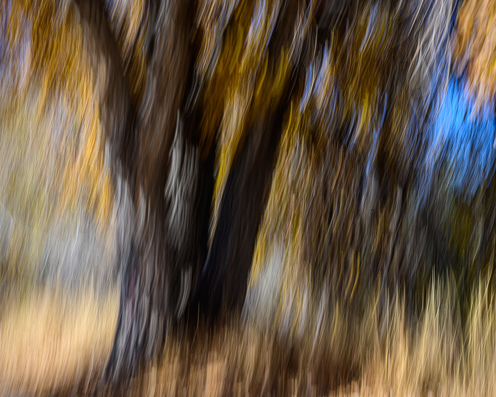 The emotion of a fall scene