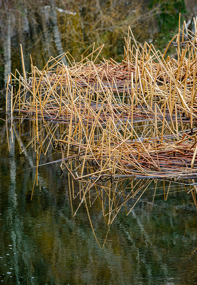 What the Camera Sees