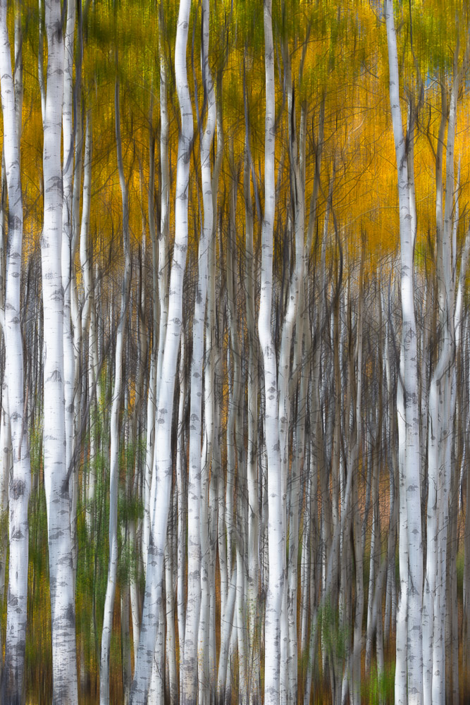 Impressionistic photography