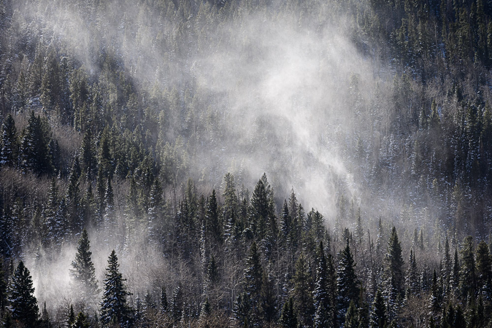 Themes Keep Emerging