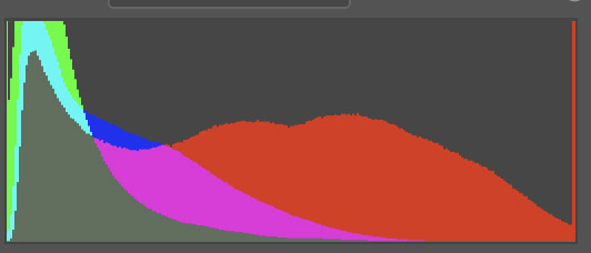 Random flower image histogram