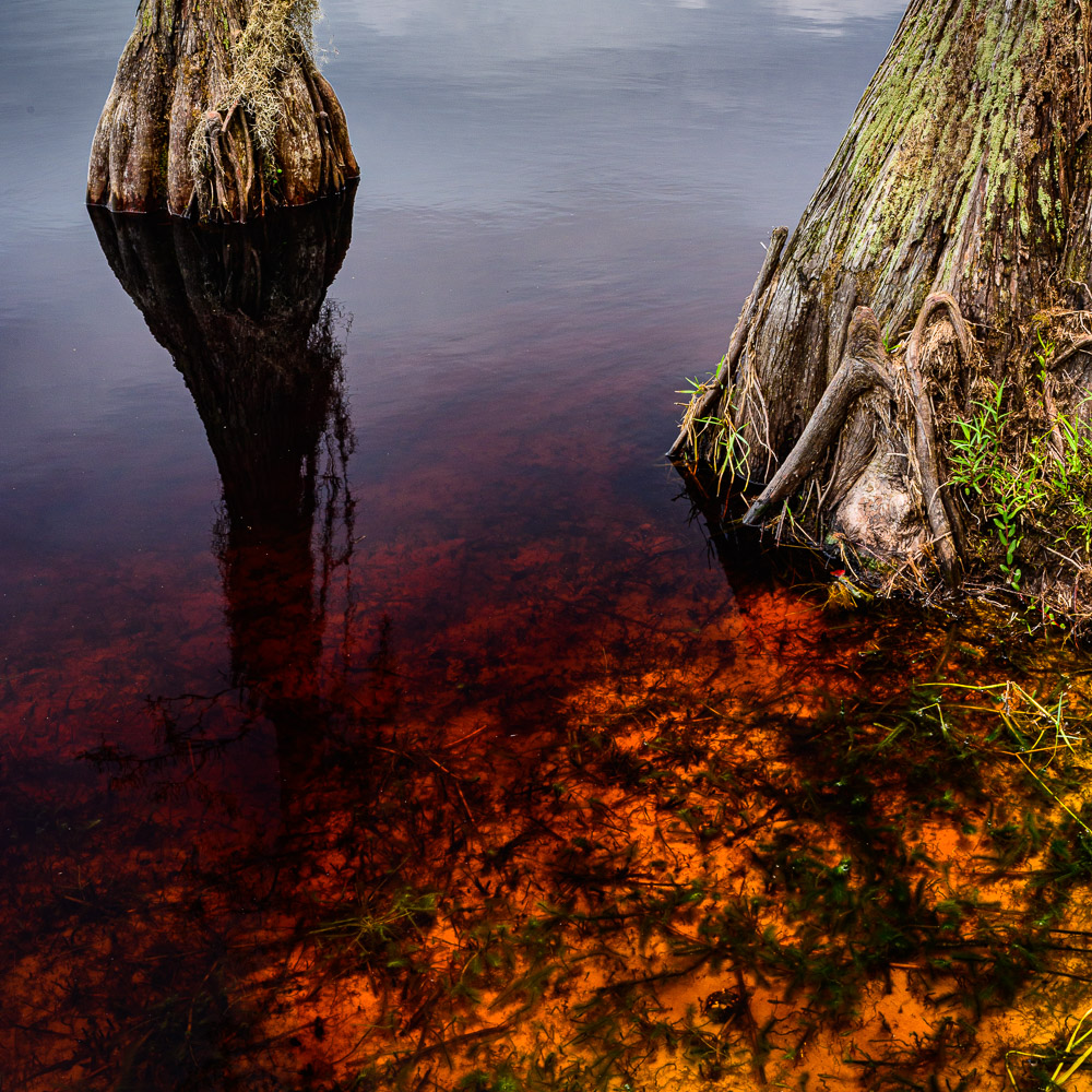 Lake Louisa. Calm before the storm.
