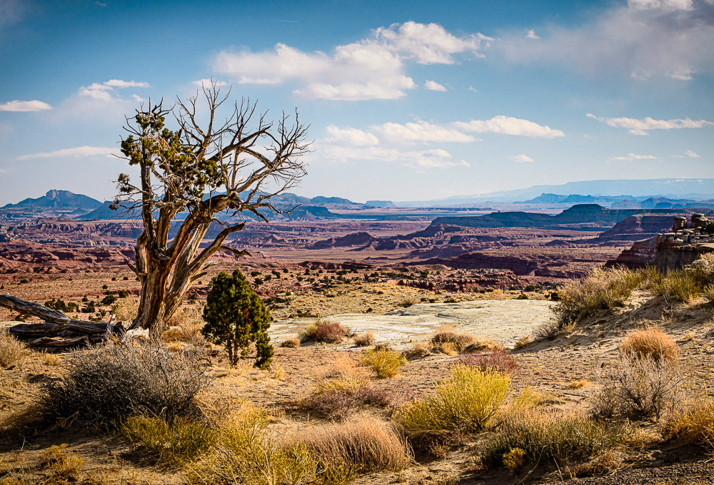 It’s OK to be Uncomfortable