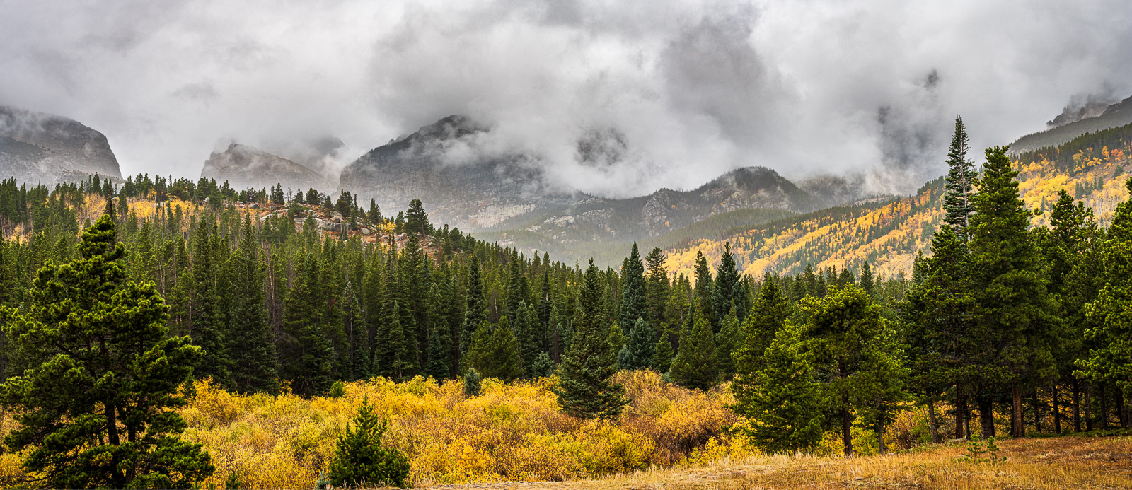 Rocky Mountain fall panorama