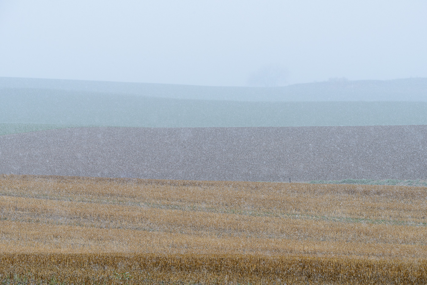 Spring snow, aerial haze, minimalist