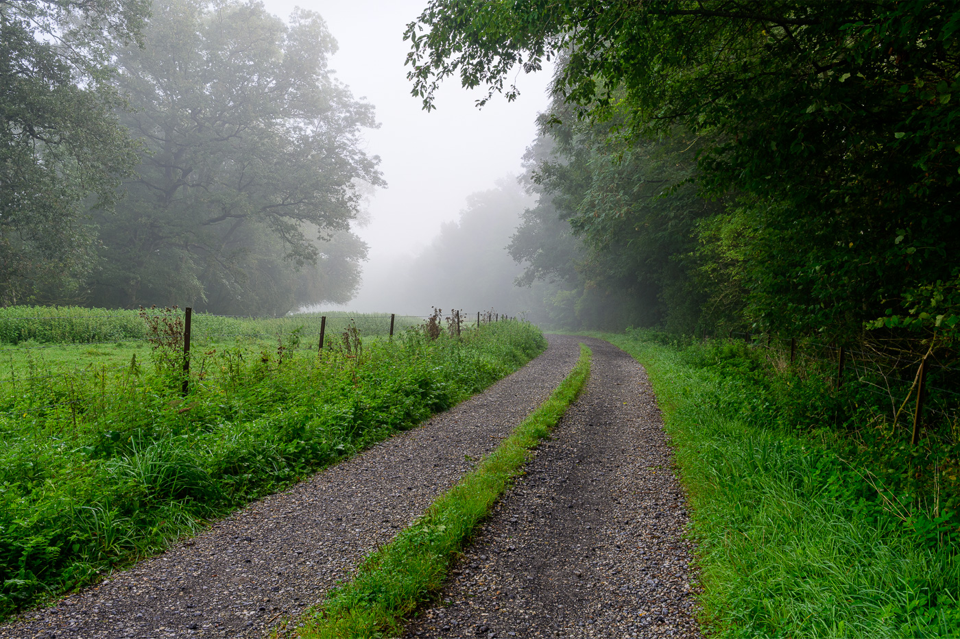 Misty morning in rural France